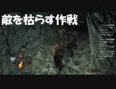 #22【ダークソウル2】隠れ港辛いので敵を枯らす初見プレイ-DARK SOULS Ⅱ SCHOLAR OF THE FIRST SIN-