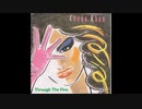 Through The Fire  ― Chaka Khan