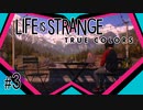 Life is Strange: True Colors #3