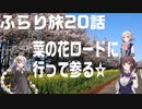 ふらり旅20話　菜の花ロードに行って参る
