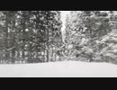 段原一詞の雪国を横切る列車