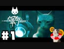 猫好きによる、迷い猫物語 Stray □ [ Part1 ]