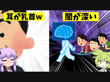 影から日本を支配する ずんだもんと学ぶ いらすとや Voiceroid ゆっくり解説 ニコニコ動画