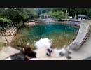 はぐれゆかりさんとオッサンのつれづれなるままに　第７話　「その　家族のつれづれを...（後編）」（別府弁天池）