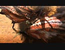 【MHXX Switchver.】ダイミョウザザミ拘束攻撃