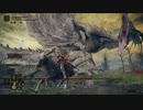 リオ〇ウス！？【ELDEN RING】19