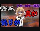 ［フリーゲーム］有料級の神フリーホラーゲーム！！　part 14【NOeSIS ～嘘を吐いた記憶の物語～】