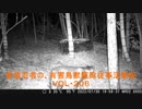 （閲覧注意）変態忍者の、有害鳥獣駆除従事活動記・その２０６