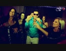 ♛Jolly - Bulikirály (Ciki Ciki Bam Bam)
