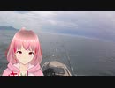 やっぱカヤックしか勝たん