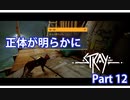 Stray Part 12