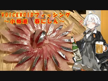 魚釣り大好きあかりちゃん♪ ～小樽港 春にしん～　【VOICEROIDフィッシング】