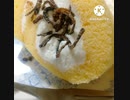 ロールケーキにいそ松葉相性抜群甘いものとあうね市況回復お願いしますロールケーキ違ったコントロール景気してください