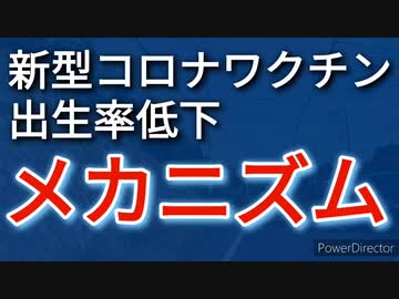 新型コロナワクチン接種開始後に出生率低下が加速、そのメカニズム