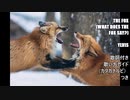 【英語の歌うたえたら】The Fox (What Does The Fox Say?)/Ylvis【カッコよくねぇ？】