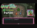 ポケモン不思議のダンジョン空の探険隊【実況】Part30