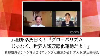 我那覇真子 & 武田邦彦『グローバリズムじゃなく、世界人類奴隷化運動だよ！』