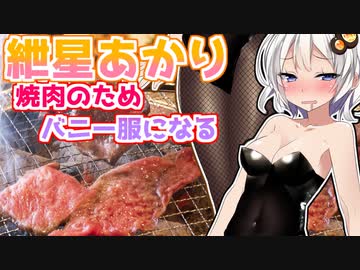 『バニーの日だし、これ着てくれたら焼肉奢るよ？』【焼肉シミュ】『VOICEROID実況』