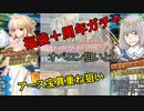 【FGO】7周年 福袋とアーキタイプ：アースを求めて