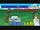 PR版で1人旅をしたら、序盤があまりに厳しかった ― 黒魔道士1人旅・前編【FF1 各ジョブで1人旅】