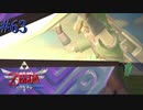 これがハイパーゴマダレタイムだ！【ゼルダの伝説 スカイウォードソードHD】#63