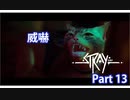 Stray Part 13