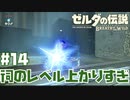 #14 ゼルダの伝説 ブレス オブ ザ ワイルド【多分今やる祠じゃない】