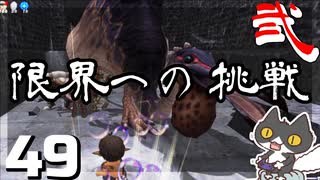 轟くFF11＿復帰プレイ49　限界への挑戦②