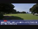 みなとみらい地区を歩き回ったアイドル