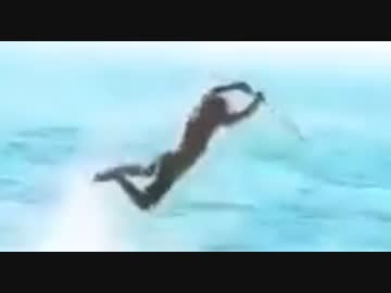 ホモと見る　サーファーのレベル100とレベル1