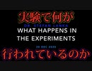 【Stefan Lanka】ステファン・ランカ博士より、実験で何が行われているのか。