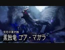 空中戦メインでサンブレイクを楽しむ棍使い【ゴア・マガラ編】