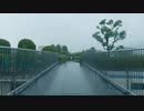 雨の日の水再生センター屋上公園を歩く。雨風雷 足音【作業用・睡眠用・ASMR】Walk in the rain
