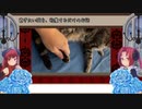 【寛ぎたい猫を邪魔したい】猫様讃歌.２