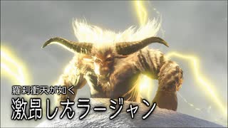 【MHRS】発売日から全モンスターを倒すまで【実況】part19