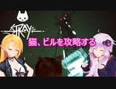 【STRAY】ゆかりとマキが猫ちゃんと大冒険part８【特別シリーズ】