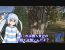 チキンな葵のPUBG#12