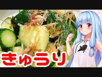 【新シリーズ】育てた野菜で料理作っちゃいました！【きゅうりの浅漬け】