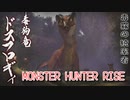 【MONSTER HUNTER RISE】ガンス厨のモンスターハンター。古のぼっちハンターが初見で遊んでいくよ！【Part15 毒霧に濡れた水没林】
