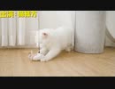 [東方警告音]u.n.オーエンは彼女なのか？ ✕ WindowsXP音[音mad]