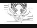 【AIきりたん】pre body【オリジナル曲】