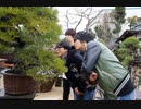 森川さんのはっぴーぼーらっきー　第五幕　第五十七話（第五幕その9）　森川さんの楽しい盆栽講座