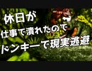 轟くドンキーコング　現実逃避プレイ#02 最終回
