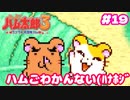 ハムゴ？ナニソレ(ﾊﾅﾎｼﾞ【ハム太郎3】＃19