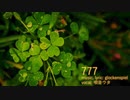 【唄音ウタ】777【オリジナル】