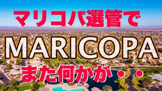 マリコパ郡が今回も疑惑の選挙管理【トランプ派知事候補がリードしたとたんに開票中断】