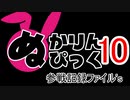 ぬかぴ参戦記録　ファイル１０