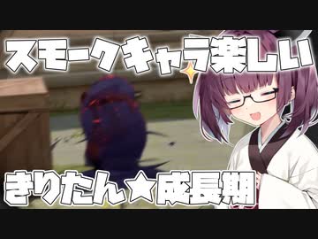 ヘビースモーカーきりたん【VALORANT】