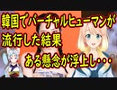 【韓国の反応】整形大国の韓国でバーチャルヒューマンが流行した結果、とある懸念が浮上【世界の〇〇にゅーす】