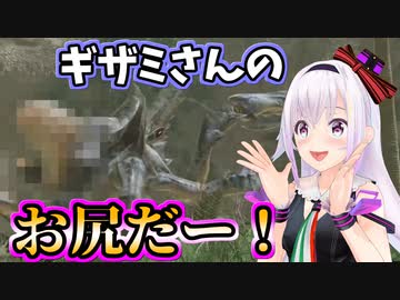 ショウグンギザミの血液と殻の中身を見て興奮するピノ様【モンハンサンブレイク】【切り抜き】